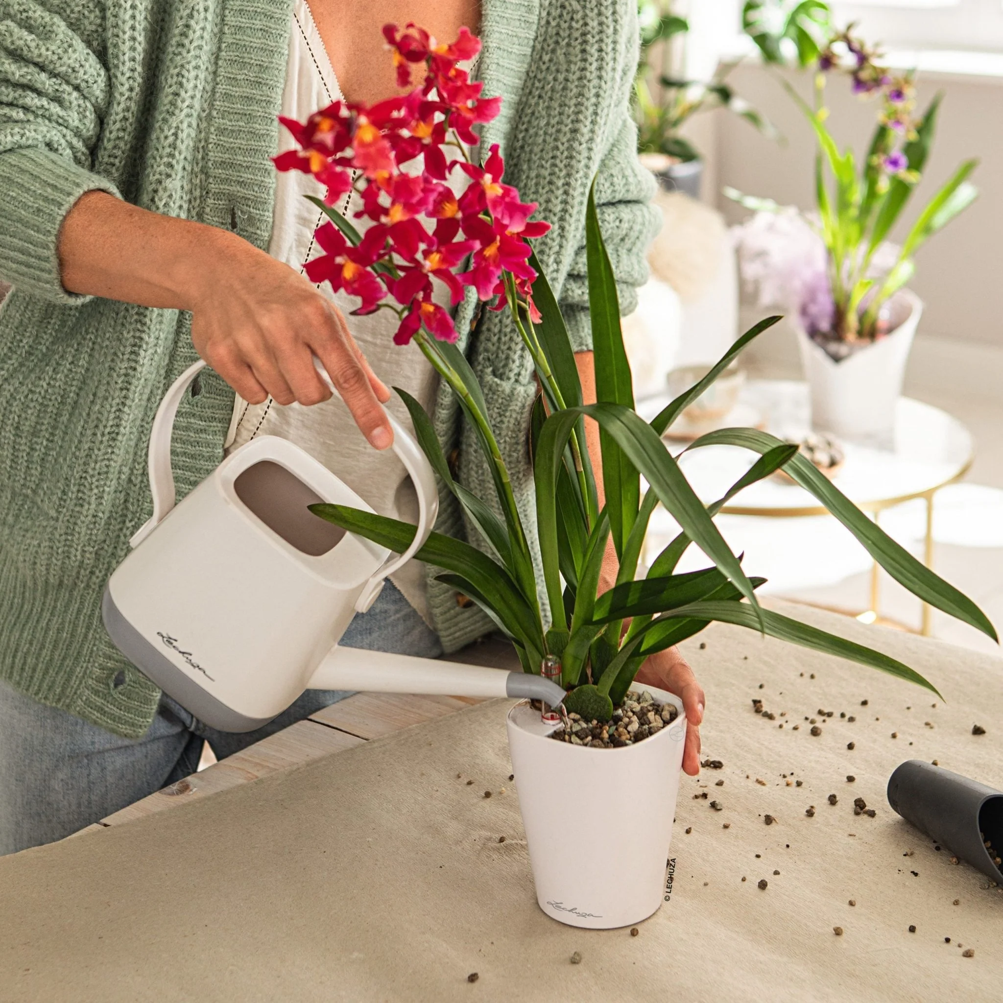 YULA Watering Can - Image 8